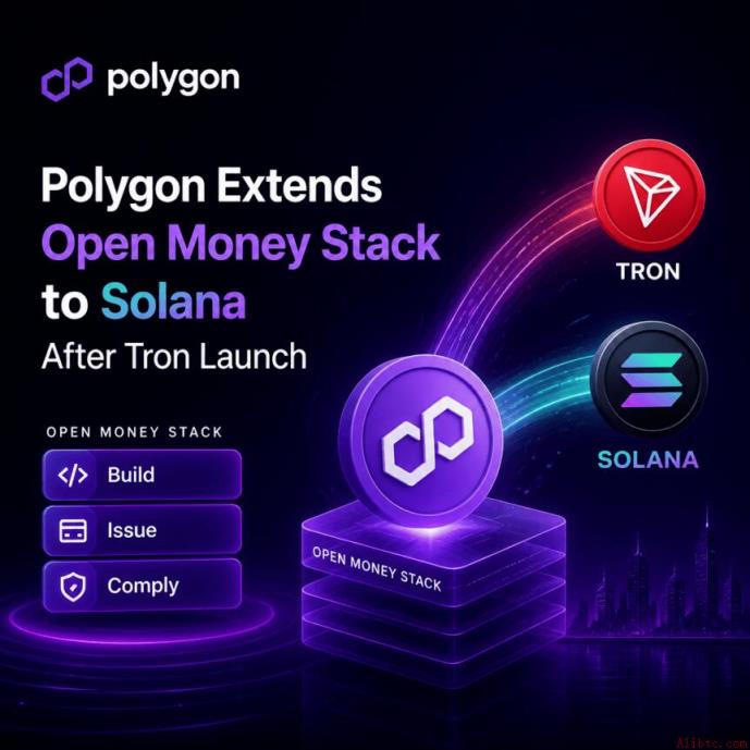 Polygon扩展开放资金栈至Solana，打通企业支付链路