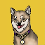 KINU_LOGO