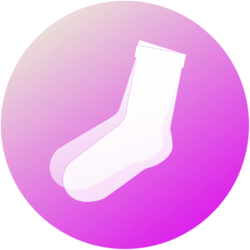 SOCKS_LOGO